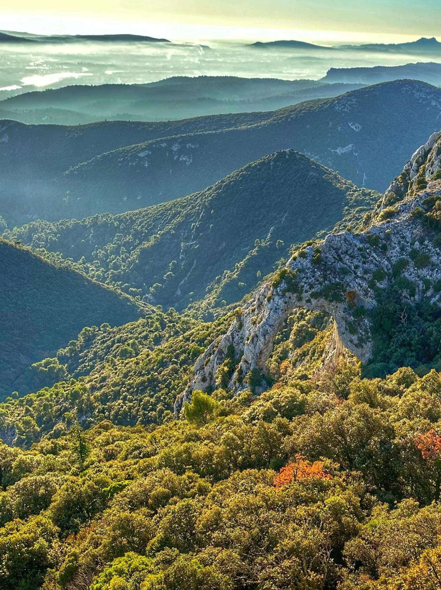 Appartamento Le Petit Delphia Apt Esterno foto